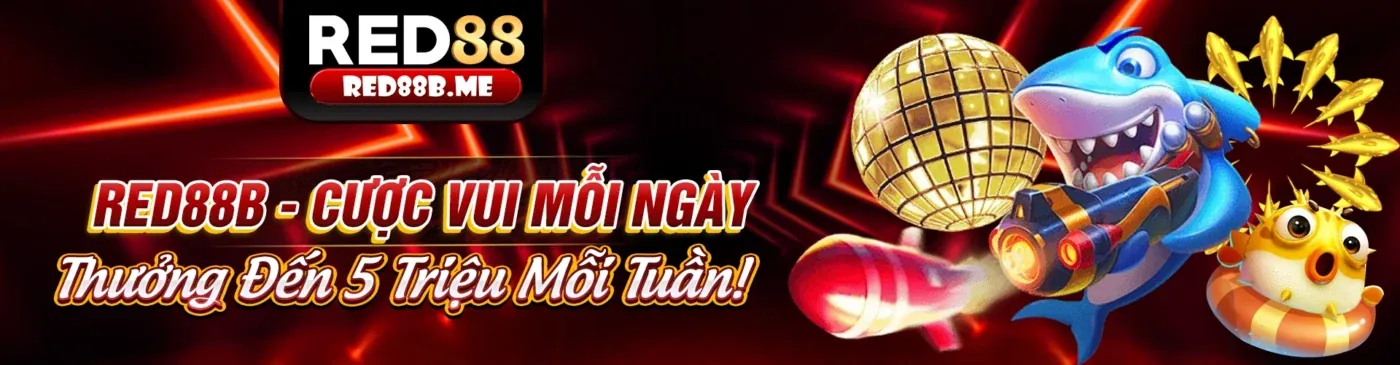 Hình ảnh chiến lược trò chơi của 5fund